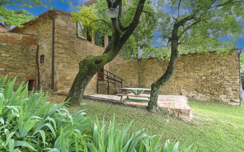 Olivo: Grass, House, Home, Rural Area, Cottage, Farmhouse, Estate, Meadow, Lawn, Landscaping