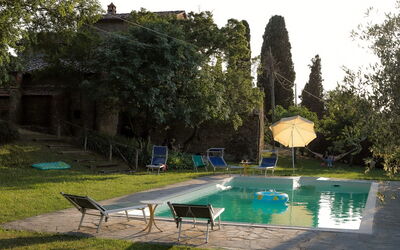 Olivo - Arezzo, Tuscany, Italy