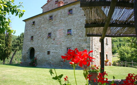 Torre di Vignale: Flower, Plant, Building, Property, Window, Petal, Sky, Tree, Vegetation, Grass