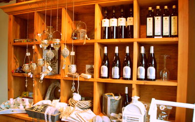 Accommodation:&nbsp;Wiringherlant 100.10