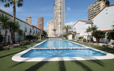 Rinconada Real: Plant, Water, Sky, Building, Daytime, Azure, Tree, Swimming Pool, Condominium, Urban Design