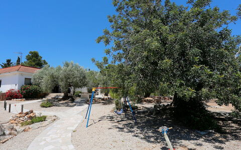 El Rinconcito: Tree, Property, Real Estate, Plant, Woody Plant, Landscape, House, Neighbourhood, Land Lot, Road
