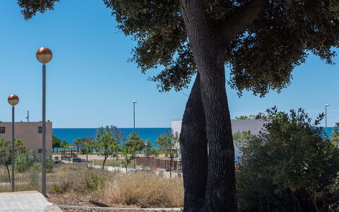 Sagenta: Tree, Sky, Woody Plant, Plant, Architecture, Palm Tree, Street Light, Vacation, Arecales, Trunk