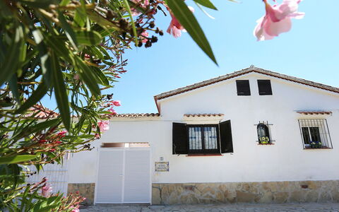 Sagenta: Sky, Building, Plant, Property, Flower, Window, House, Wall, Line, Tree