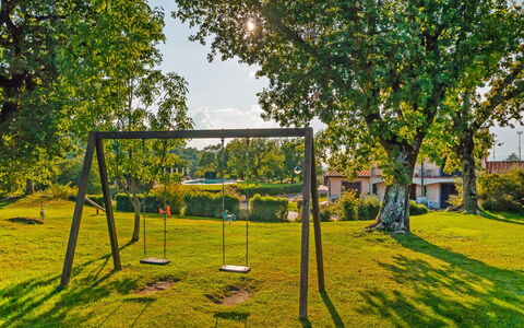 Pitigliano 200: Plant, Tree, Shade, Sky, Natural Landscape, Land Lot, Sunlight, Grass, Woody Plant, Leisure