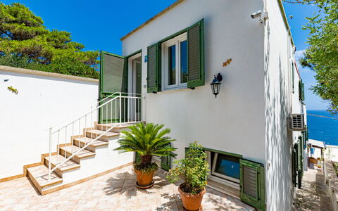 Castro 300: Plant, Building, Daytime, Property, Sky, Window, Azure, Shade, Flowerpot, Urban Design