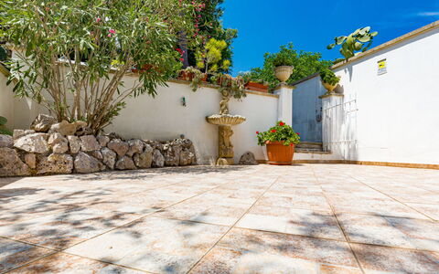 Castro 300: Plant, Property, Flower, Flowerpot, Building, Sky, Leaf, Road Surface, Window, House