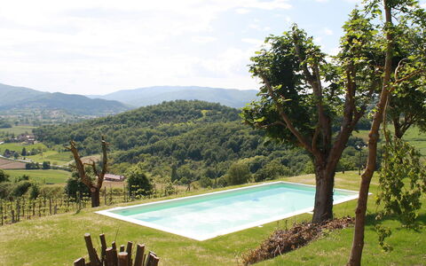Montebello: Property, Swimming Pool, House, Grass, Wilderness, Tree, Mountain, Vacation, Real Estate, Estate