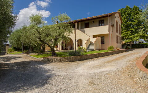 Vinci 36: Sky, Plant, Building, Property, Cloud, Window, Tree, House, Land Lot, Road Surface