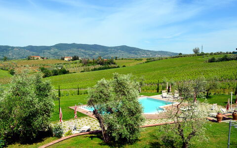 Vinci 36: Plant, Sky, Cloud, Mountain, Natural Landscape, Tree, Land Lot, Biome, Grass, Landscape