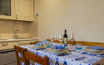 Accommodation:&nbsp;Michelangelo 36.8