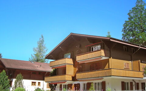 Grindelwald 253: Plant, Sky, Building, Window, Tree, House, Land Lot, Wood, Cottage, Siding
