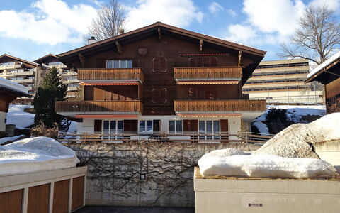 Grindelwald 253: Cloud, Sky, Building, Snow, Window, Wood, Tree, House, Freezing, Neighbourhood