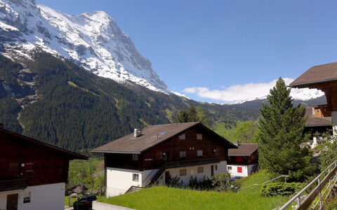 Grindelwald 253: Mountainous Landforms, Mountain, Mountain Range, Mountain Village, Property, Alps, Sky, House, Roof, Home