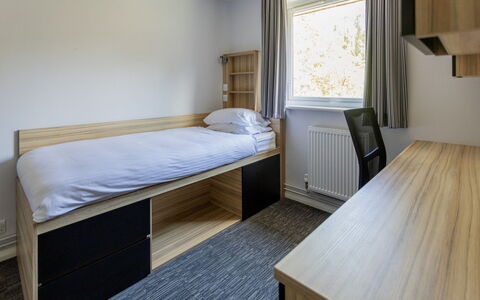Canterbury 100: Property, Comfort, Wood, Bed, Floor, Shade, Hardwood, Bedding, Window