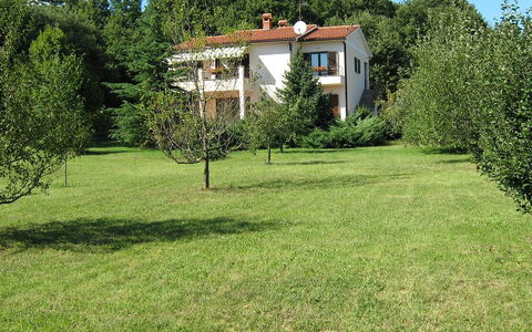 Neda: Sky, Plant, Building, Nature, Cloud, Tree, Natural Landscape, House, Land Lot, Cottage