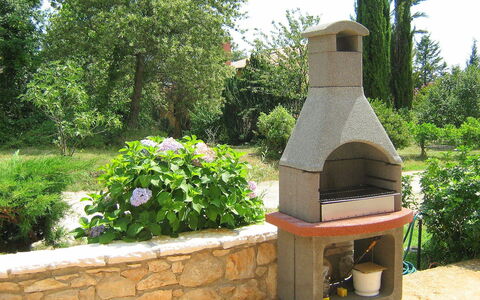 Neda: Masonry Oven, Kitchen Appliance, Barbecue, Landscaping, Garden, Brick, Barbecue Grill, Home Appliance, Landscape, Plant