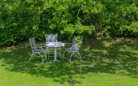 Labin 400: Plant, Furniture, Plant Community, Table, Chair, Natural Environment, Botany, Tree, Vegetation, Natural Landscape