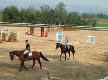 Cavalieri