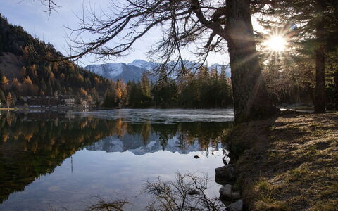 Renaissance 8: Water, Water Resources, Body Of Water, Nature, Natural Landscape, Branch, Wilderness, Reflection, Bank, Tarn