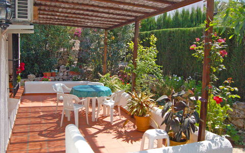 Isabel: Plant, Property, Table, Flowerpot, Houseplant, Shade, Outdoor Furniture, Chair, Lighting, Building