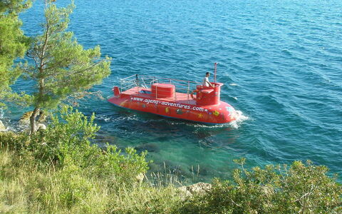 Kala: Vehicle, Boat, Watercraft, Sea, Tree, Ship, Water Transportation
