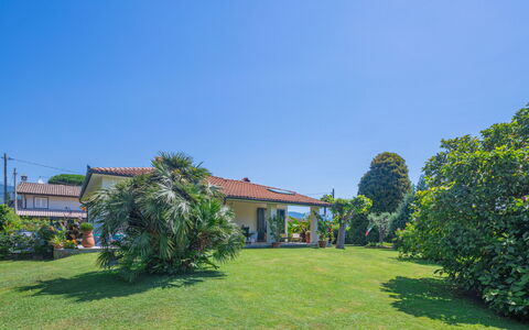 Marinella: Plant, Sky, Property, Window, Building, Natural Landscape, Tree, Land Lot, Vegetation, House
