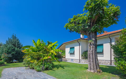Marinella: Sky, Plant, Building, Property, Tree, Natural Landscape, Vegetation, Land Lot, Shade, Arecales
