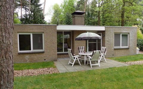 Lochem 500: Plant, Building, Window, Table, Chair, Tree, Shade, Land Lot, Outdoor Table, Grass
