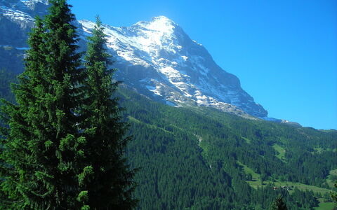 Chalet Almis 5: Mountainous Landforms, Mountain, Balsam Fir, Tropical And Subtropical Coniferous Forests, Nature, Tree, Spruce-Fir Forest, Wilderness, Hill Station, Mountain Range