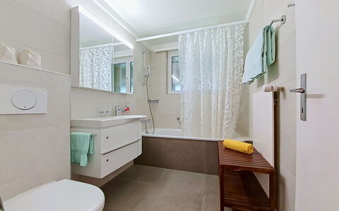 Chalet Almis 5: Bathroom, Interior Design, Plumbing Fixture, Flooring, Floor, Bathroom Sink, Bathroom Cabinet, Sink, Tap, Toilet