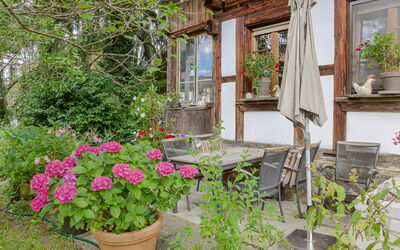 Uetendorf 200: Flower, Plant, Flowerpot, Houseplant, Window, Botany, Building, Grass, Petal, Shrub