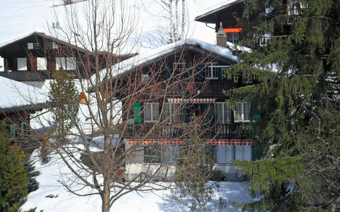 Chalet Spassvogel: Plant, Snow, Building, Window, Sky, Branch, Slope, Tree, Twig, House