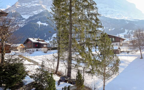 Chalet Spassvogel: Mountain, Sky, Snow, Natural Landscape, Tree, Larch, Slope, Plant, Building, Highland