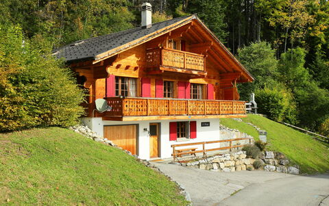 Saint Piran: Plant, Building, Window, Tree, Natural Landscape, House, Cottage, Wood, Land Lot, Rural Area