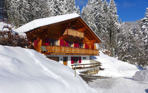 Saint Piran: Snow, Winter, Mountain, Freezing, Mountain Range, Hill Station, Alps, Tree, Sky, House