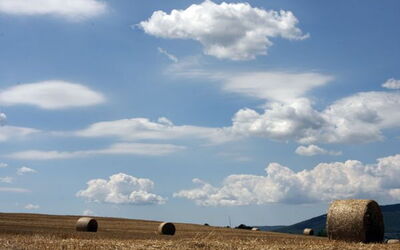 The farm
