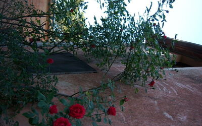 Accommodation:&nbsp;Sant'elena