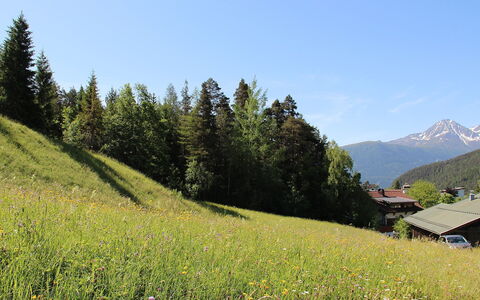 Lueg Ins Land: Sky, Plant, Flower, Mountain, Plant Community, Nature, Leaf, Natural Landscape, Slope, Vegetation