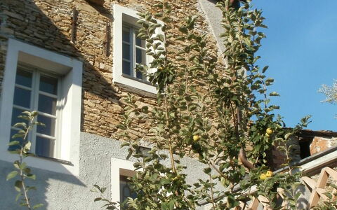 Marina di Andora 400: Sky, Daytime, Window, Plant, Property, Building, Architecture, Vegetation, Yellow