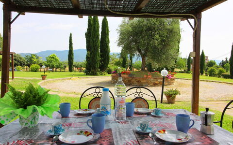 Podere Marcigliano: Tableware, Table, Plant, Property, Green, Interior Design, Sky, Textile, Tree, Shade