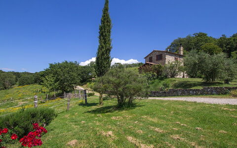 Casalini: Vegetation, Property, Tree, Grass, Garden, House, Botany, Plant, Grass Family, Real Estate