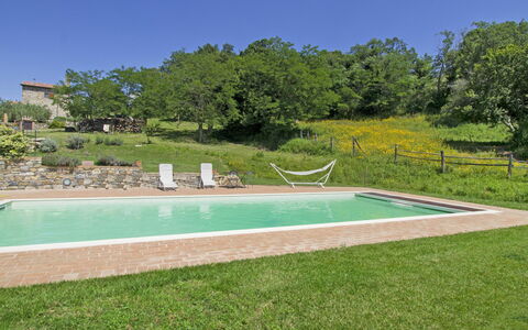 Casalini: Plant, Sky, Water, Swimming Pool, Rectangle, Tree, Land Lot, Shade, Grass, Leisure