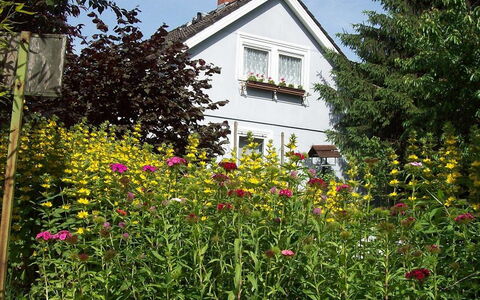 Allmendgasse: Flower, Plant, Building, Window, Sky, House, Natural Landscape, Tree, Yellow, Cottage