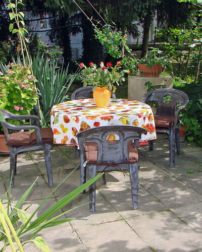 Allmendgasse: Outdoor Table, Patio, Outdoor Furniture, Botany, Yard, Garden, Table, Backyard, Furniture, Plant