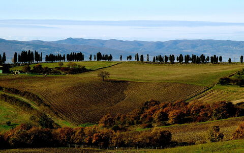 Dante: Grassland, Natural Landscape, Hill, Highland, Green, Mountainous Landforms, Pasture, Natural Environment, Sky, Mountain
