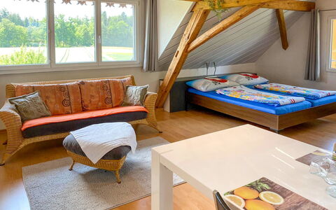 Accommodation:&nbsp;Arn'S Dachstudio 100.3