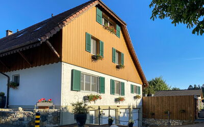 Wangenried 100: Sky, Plant, Building, Window, Property, Flowerpot, House, Wood, Tree, Houseplant