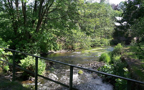 Vielsalm: Natural Landscape, Vegetation, Nature Reserve, Nature, Natural Environment, Tree, Riparian Zone, Biome, Forest, Riparian Forest