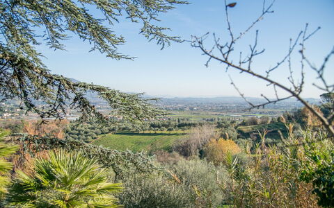 Villa Pedone: Sky, Plant, Plant Community, Natural Landscape, Land Lot, Tree, Twig, Grass, Landscape, Plain